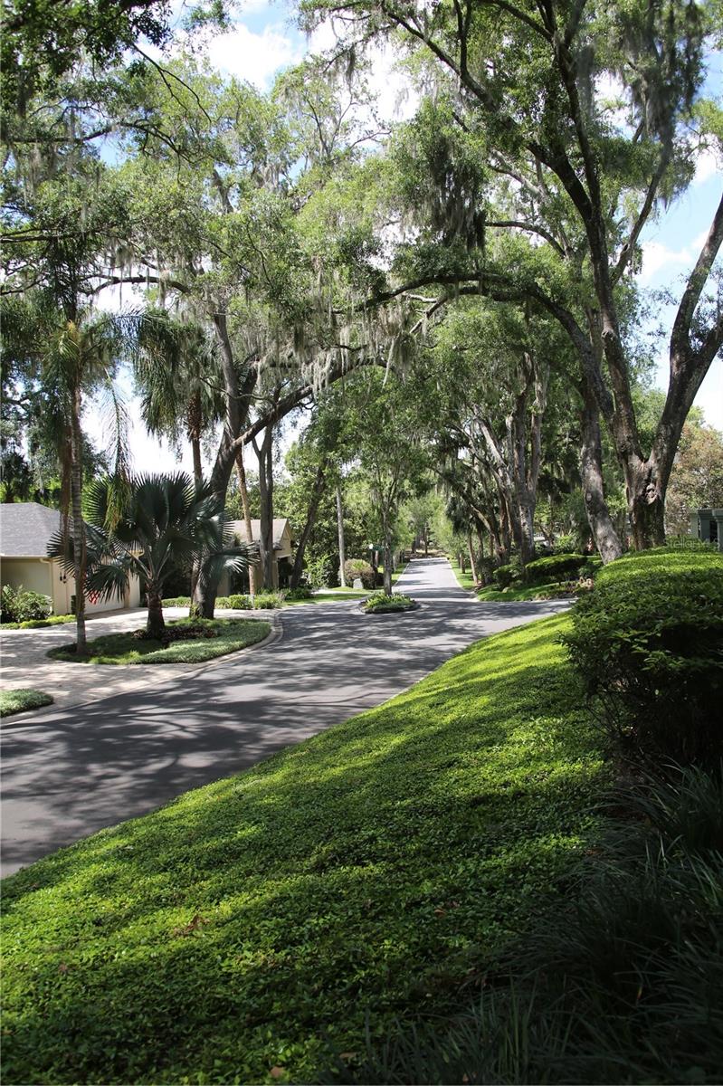 631 SAND LAKE CT, MOUNT DORA, FL, 32757