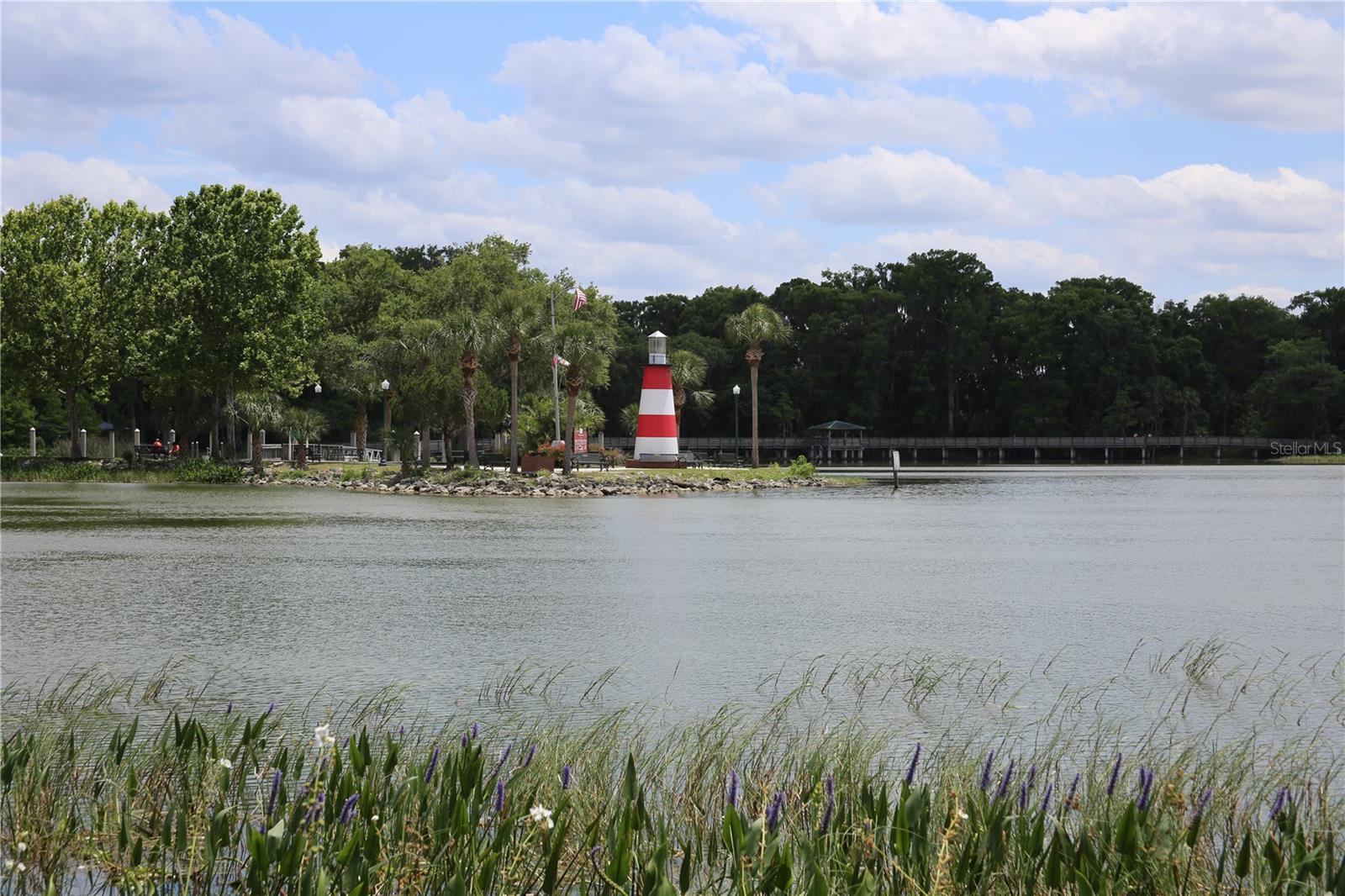 631 SAND LAKE CT, MOUNT DORA, FL, 32757