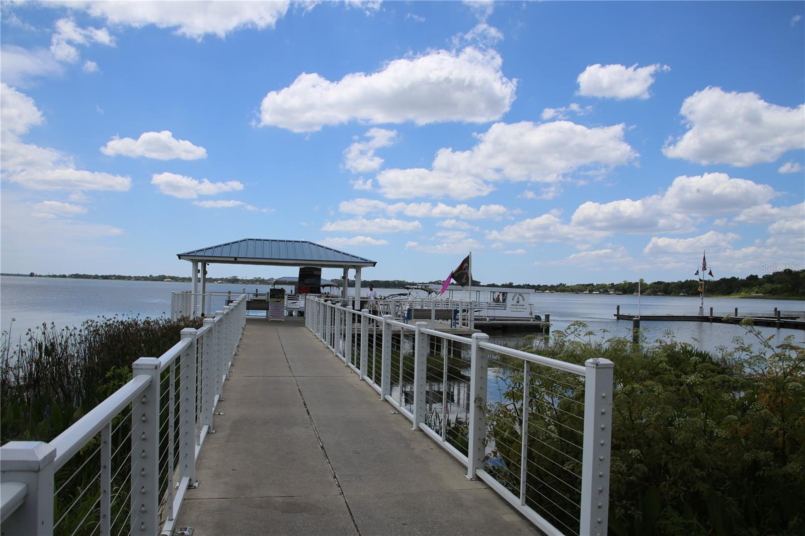 631 SAND LAKE CT, MOUNT DORA, FL, 32757