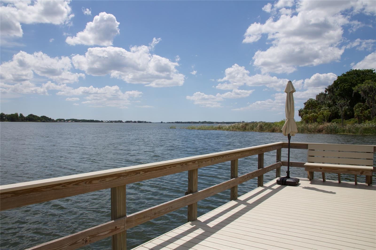 631 SAND LAKE CT, MOUNT DORA, FL, 32757