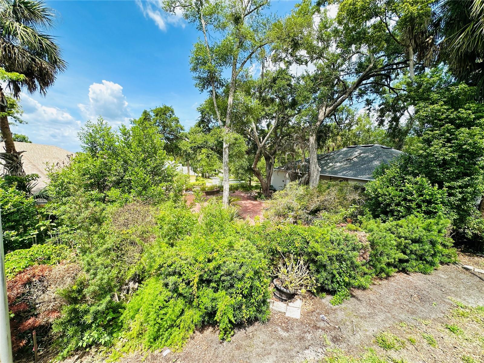 631 SAND LAKE CT, MOUNT DORA, FL, 32757