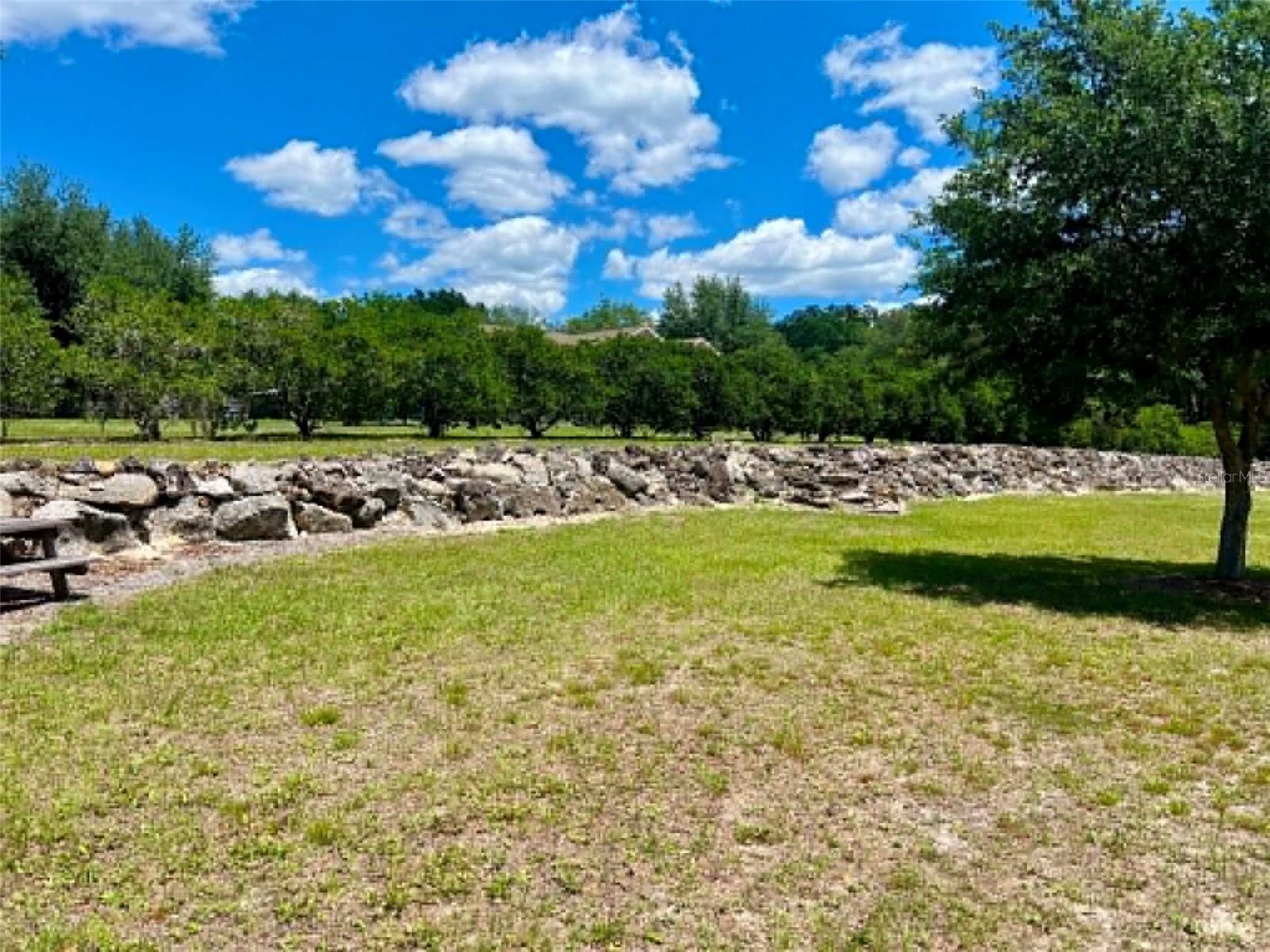 3325 S HWY 314A, OCKLAWAHA, FL, 32179