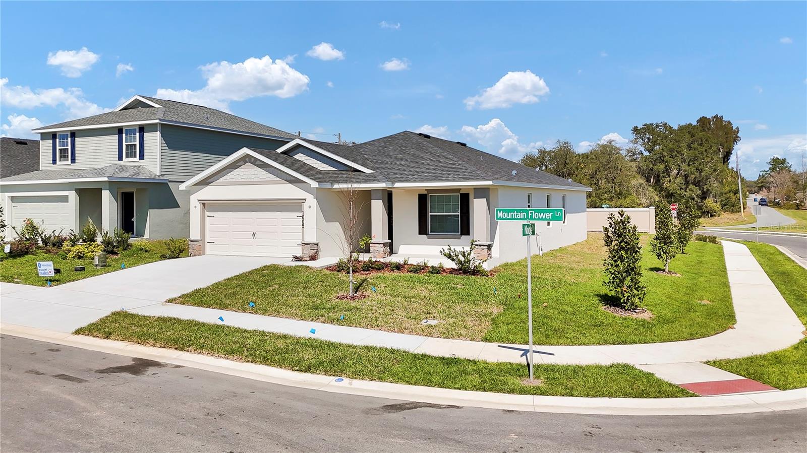 1005 MOUNTAIN FLOWER LN, DAVENPORT, FL, 33837