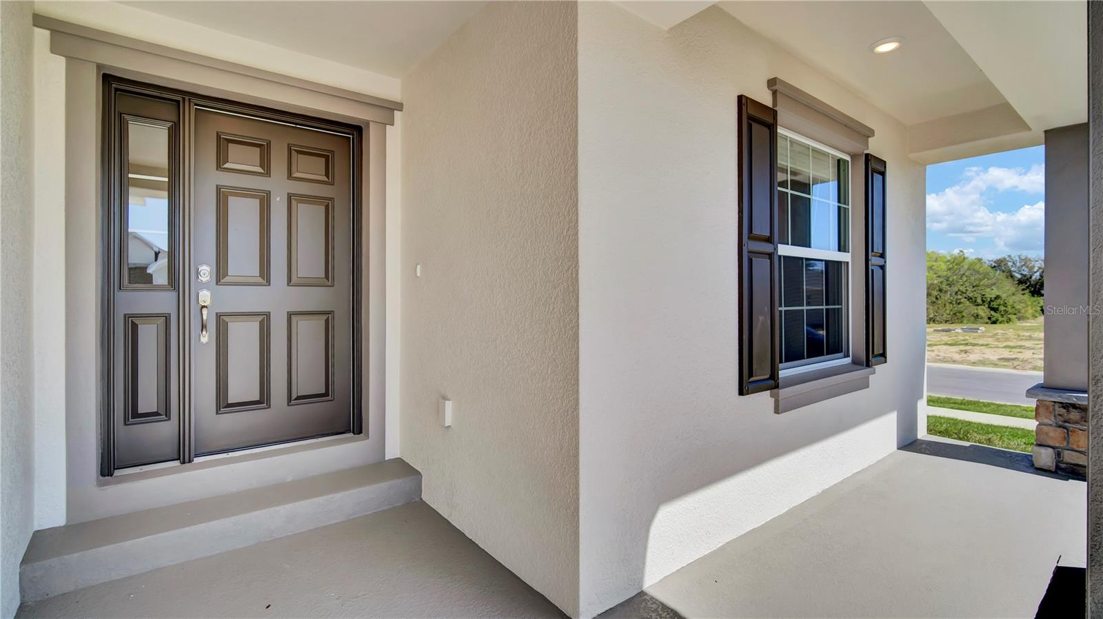 1005 MOUNTAIN FLOWER LN, DAVENPORT, FL, 33837
