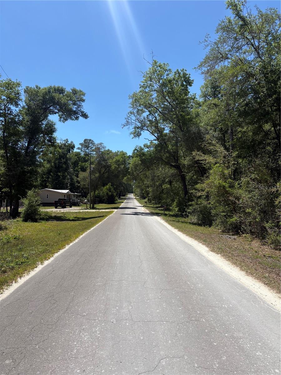 NE 7TH PLACE, WILLISTON, FL, 32696
