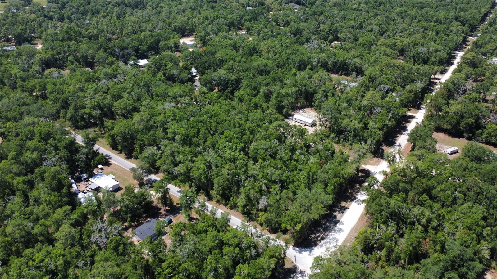 NE 7TH PLACE, WILLISTON, FL, 32696