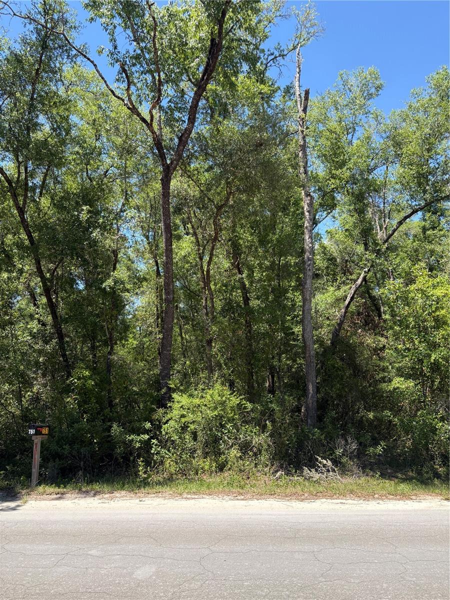 NE 7TH PLACE, WILLISTON, FL, 32696