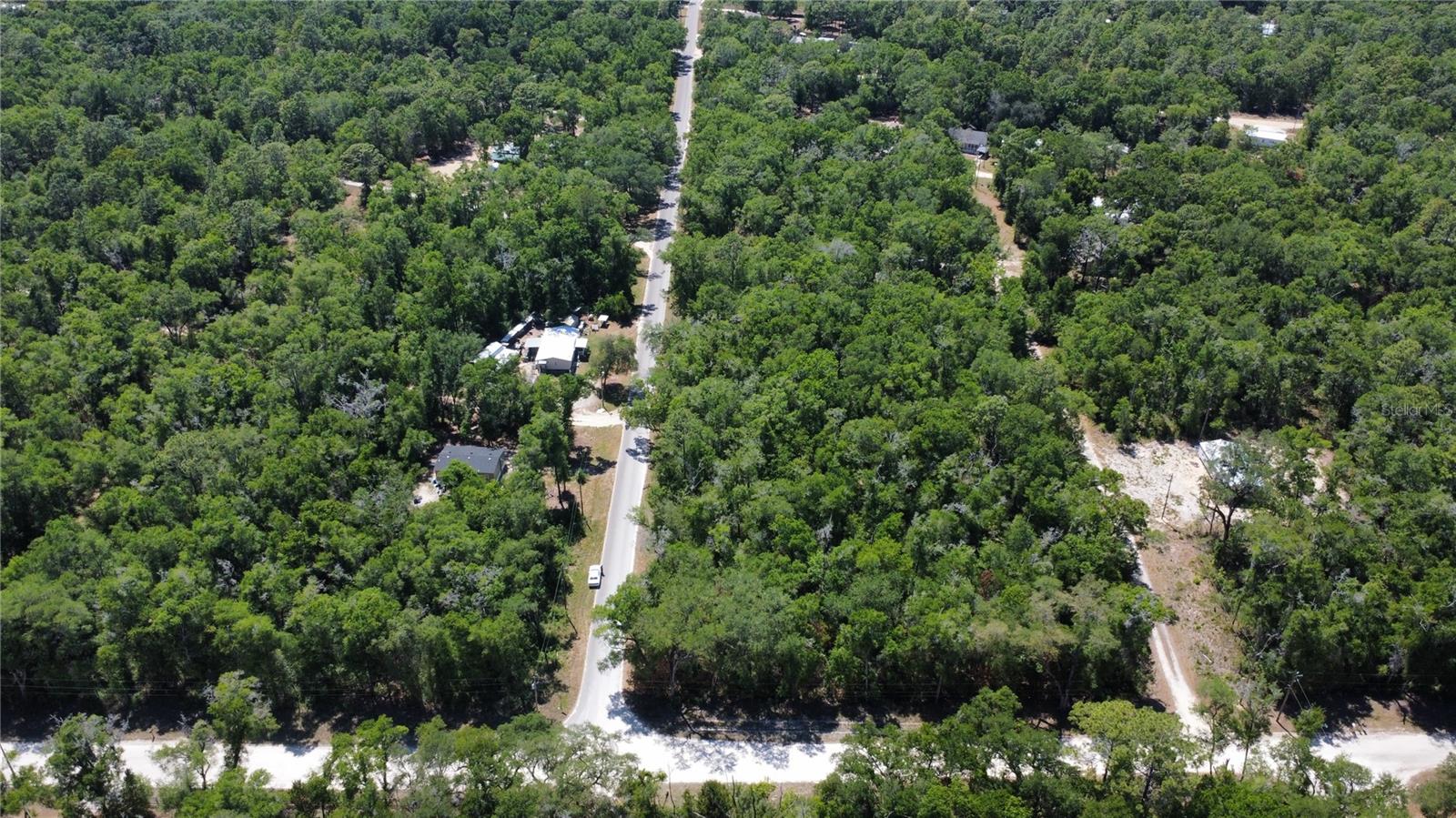 NE 7TH PLACE, WILLISTON, FL, 32696