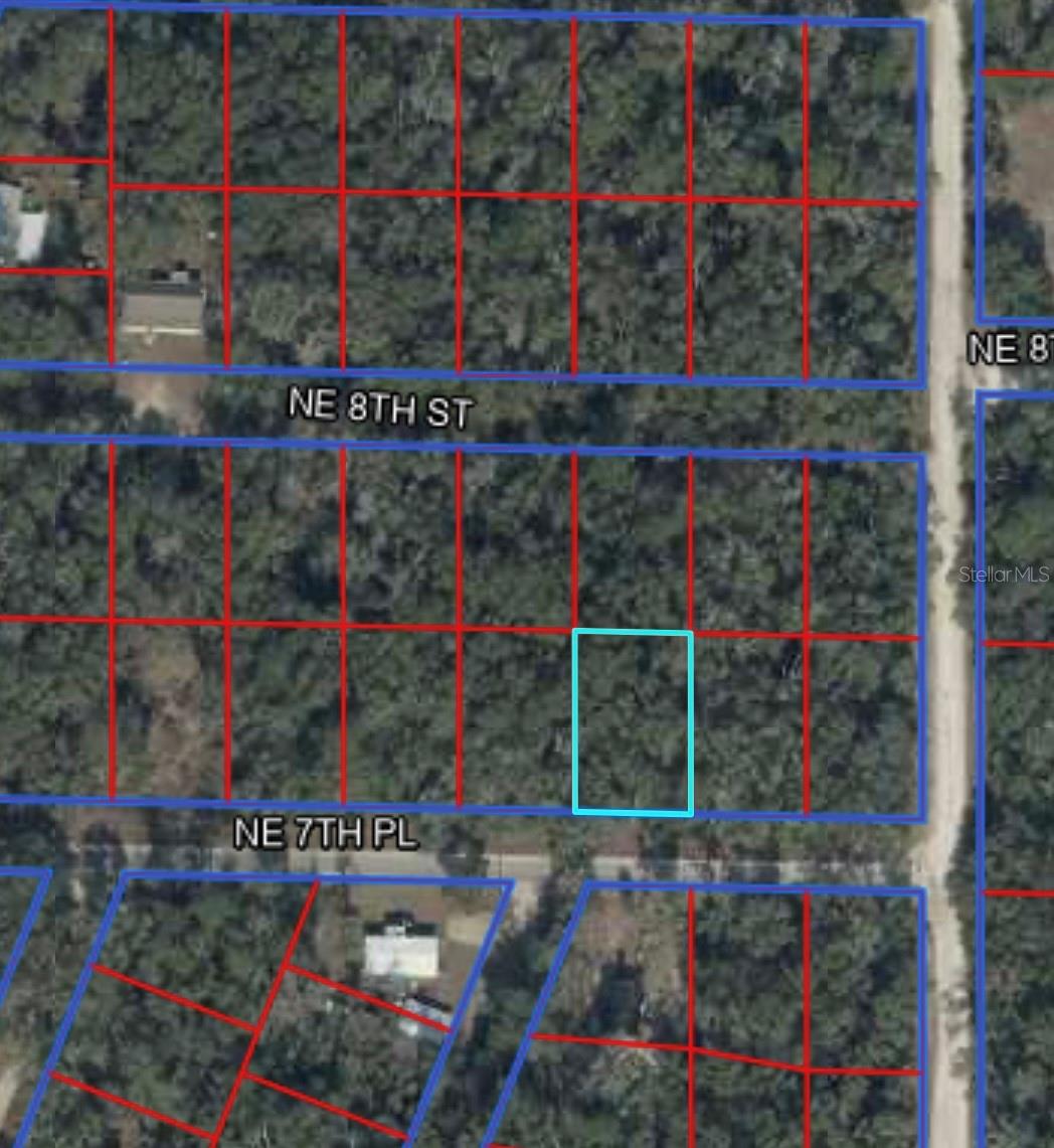NE 7TH PLACE, WILLISTON, FL, 32696