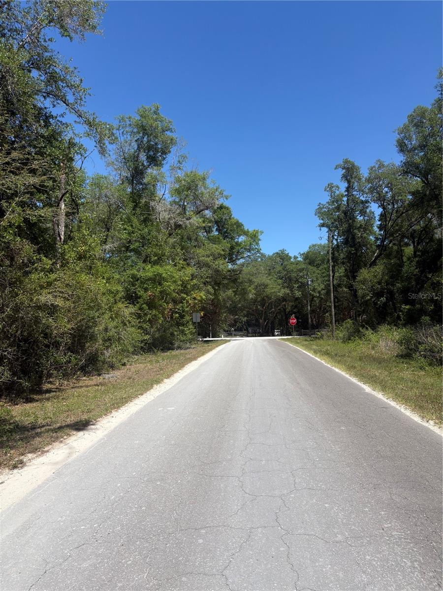 NE 7TH PLACE, WILLISTON, FL, 32696