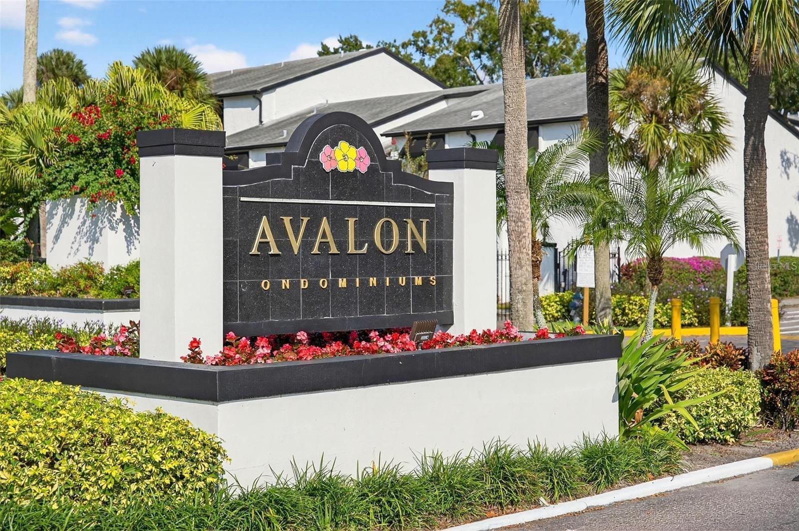 4309 S SEMORAN BLVD #4, ORLANDO, FL, 32822