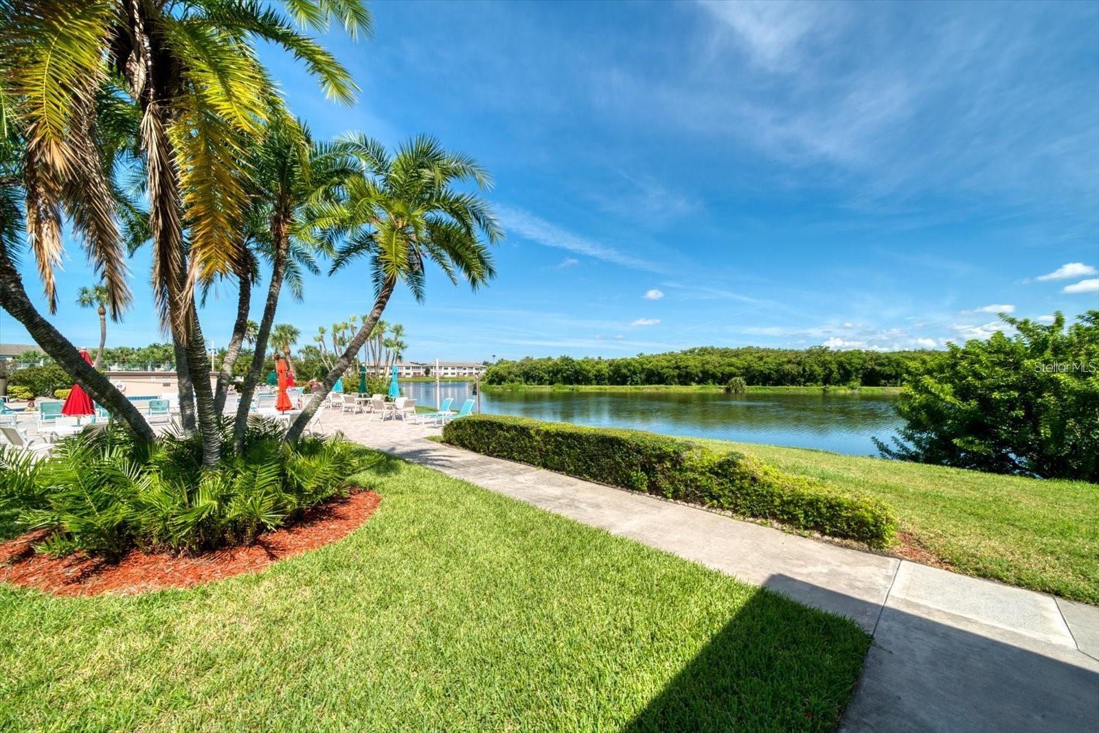 10033 64TH AVE N #4, ST PETERSBURG, FL, 33708