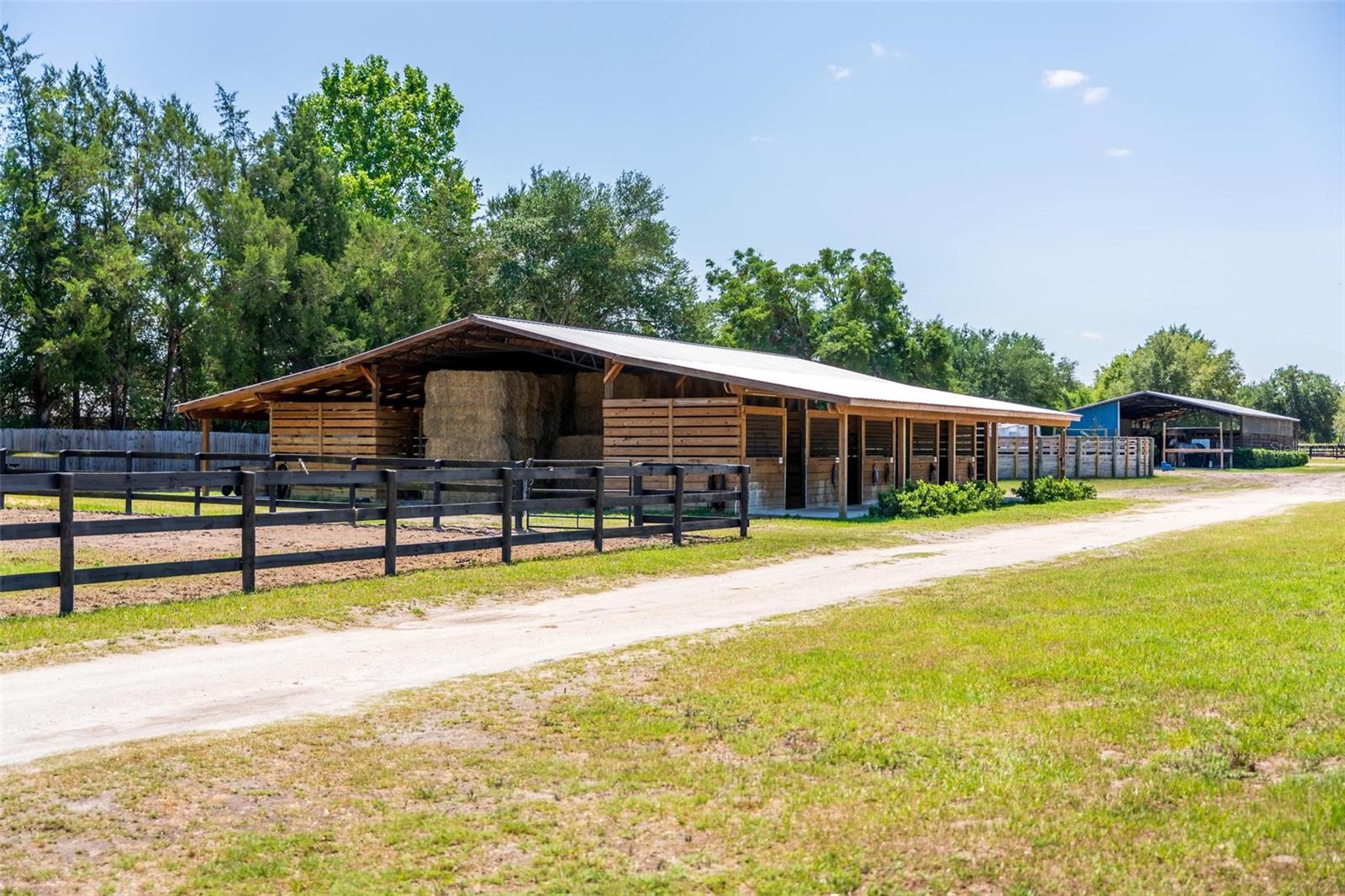 18350 SE 42ND PL, MORRISTON, FL, 32668