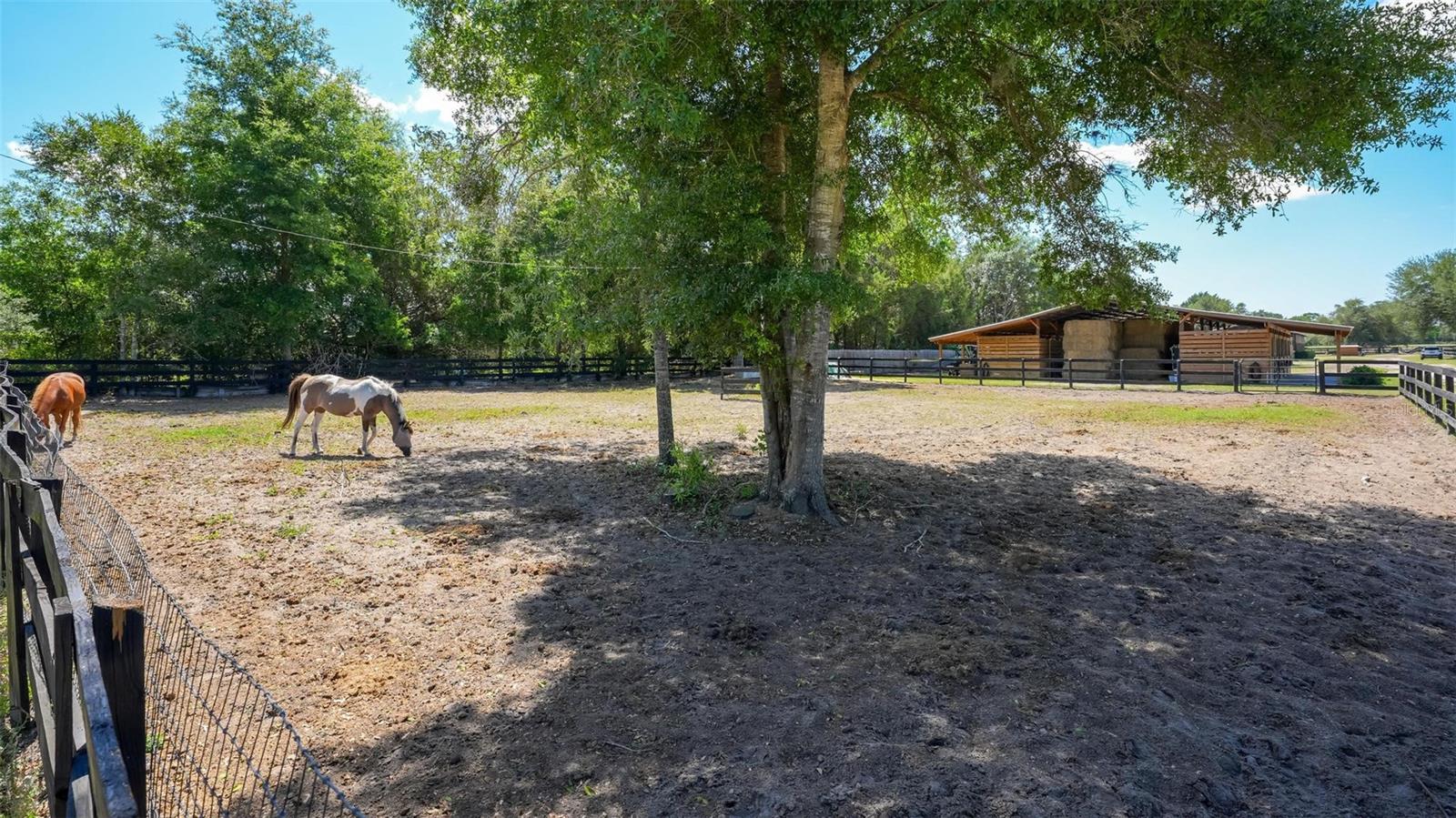 18350 SE 42ND PL, MORRISTON, FL, 32668