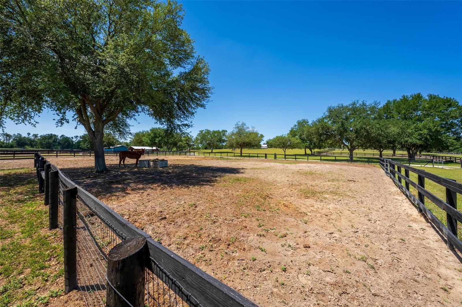 18350 SE 42ND PL, MORRISTON, FL, 32668