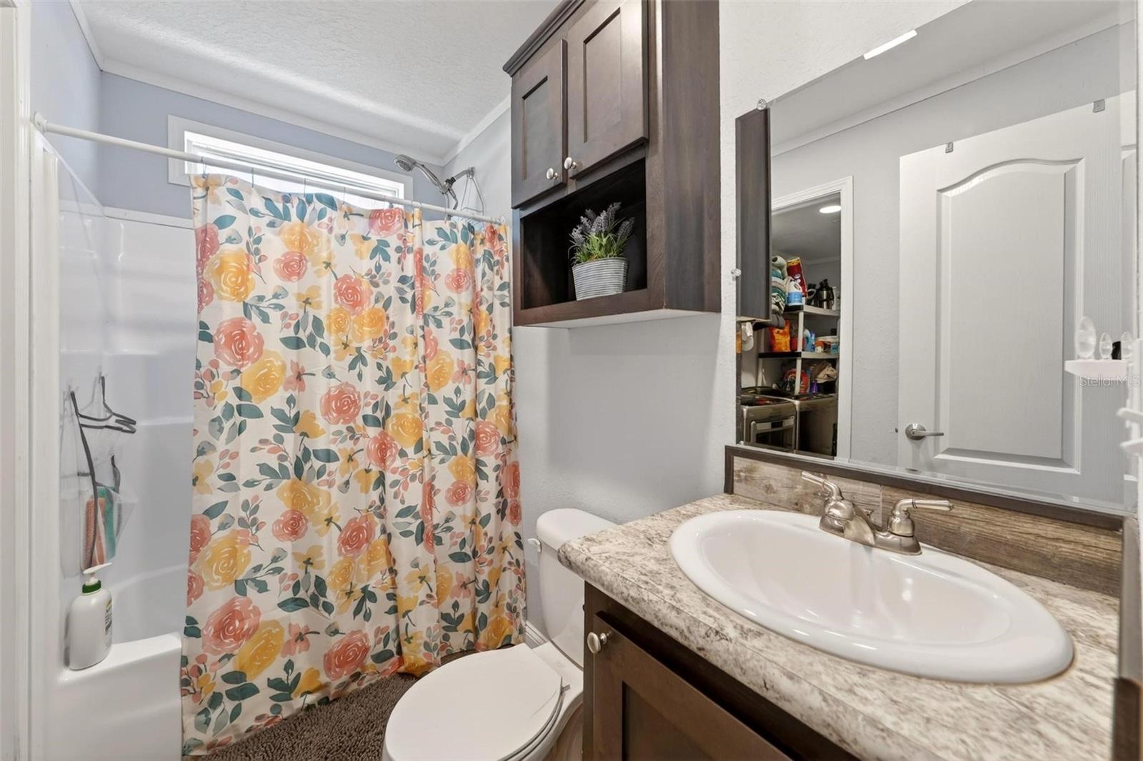 18350 SE 42ND PL, MORRISTON, FL, 32668