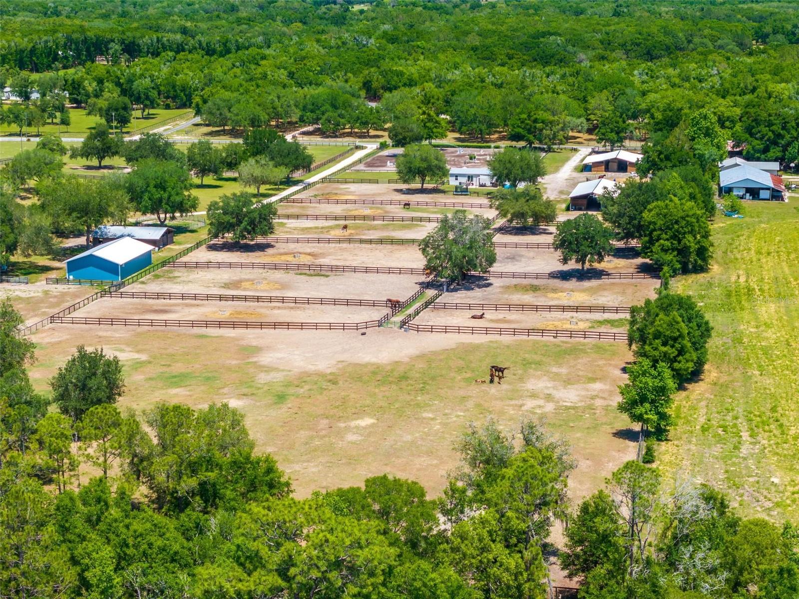 18350 SE 42ND PL, MORRISTON, FL, 32668