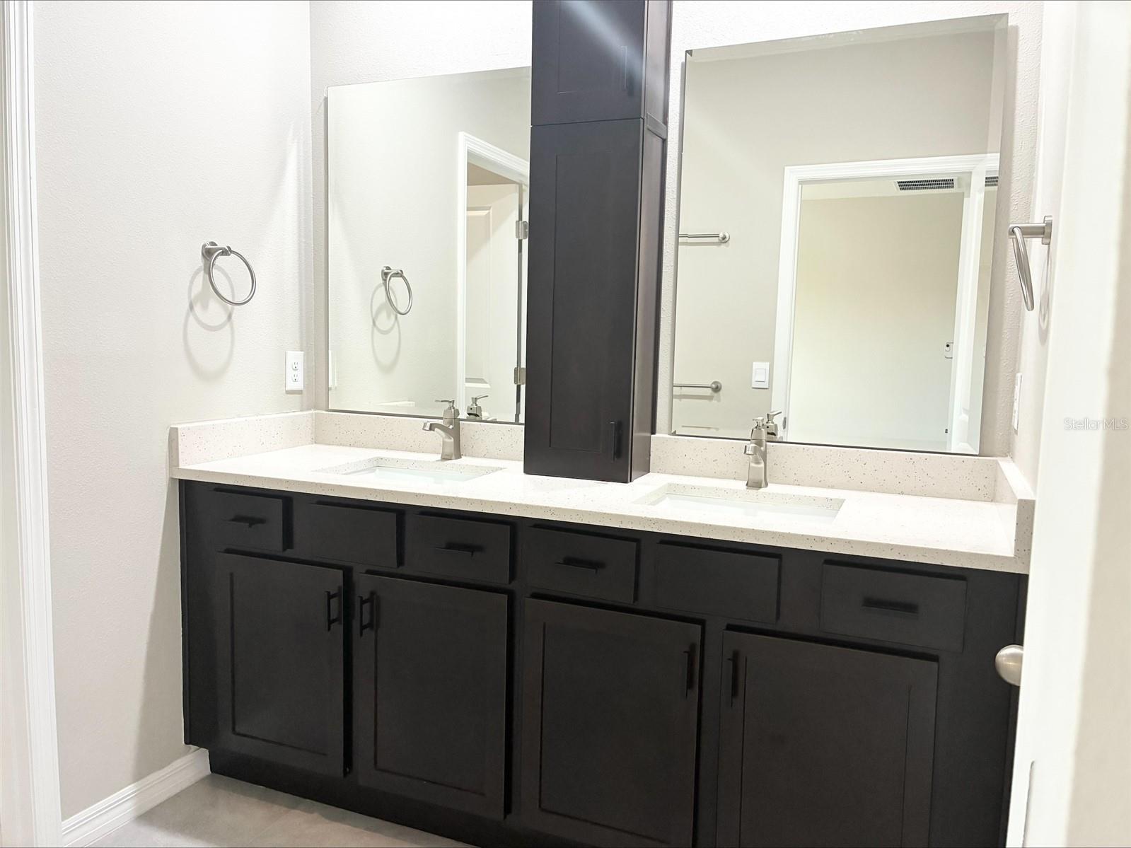 2908 EVERGREEN ELM PASS, WESLEY CHAPEL, FL, 33543