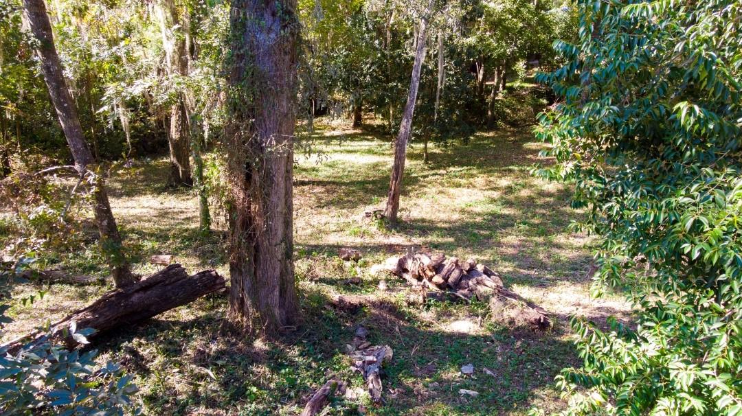 1723 NW 14TH AVE, GAINESVILLE, FL, 32605