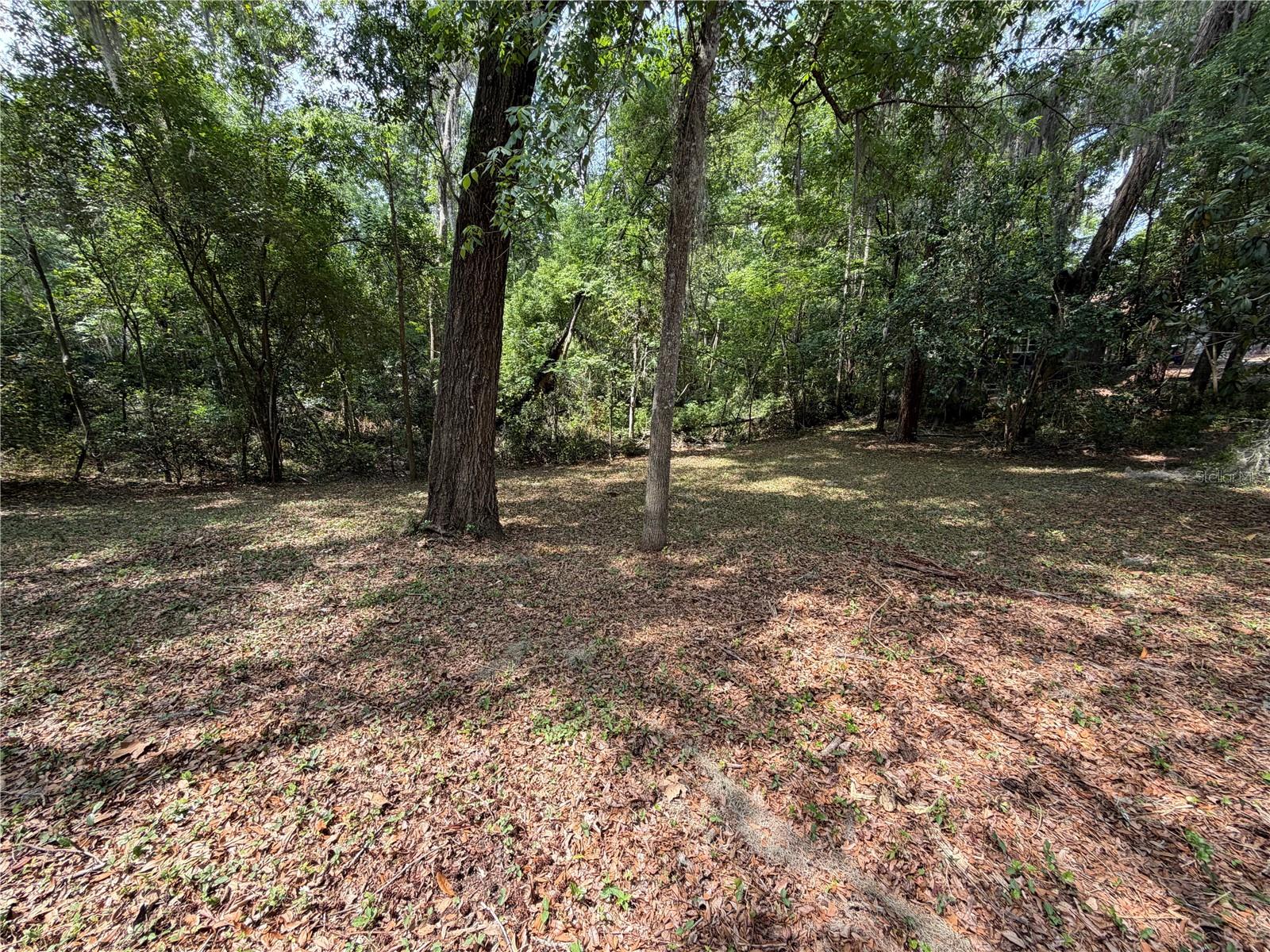 1723 NW 14TH AVE, GAINESVILLE, FL, 32605