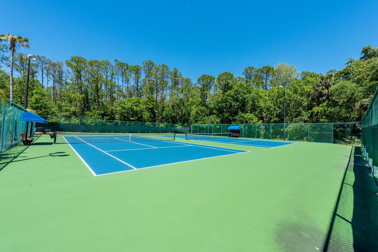 2317 BUCKINGHAM RUN CT, ORLANDO, FL, 32828