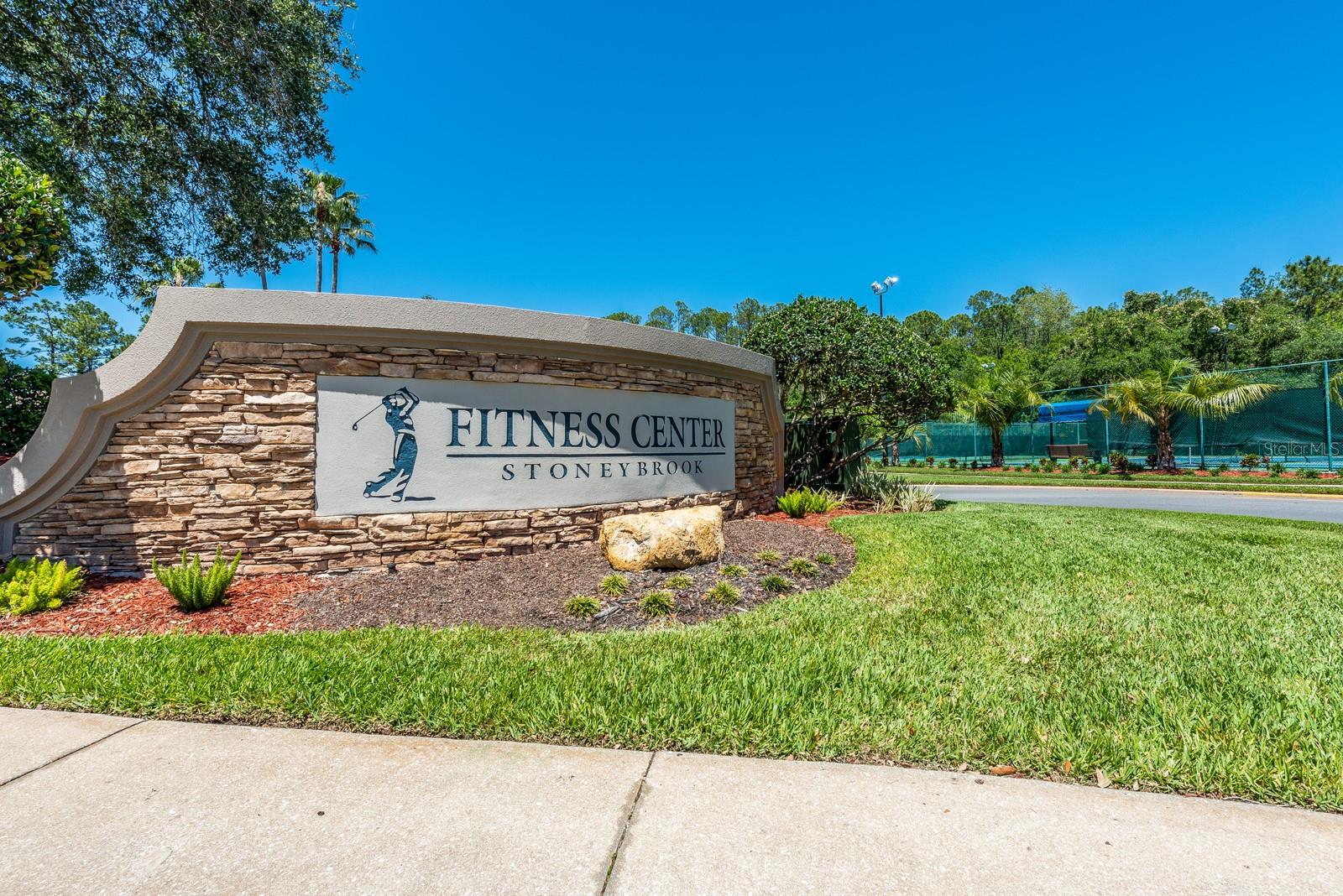 2317 BUCKINGHAM RUN CT, ORLANDO, FL, 32828