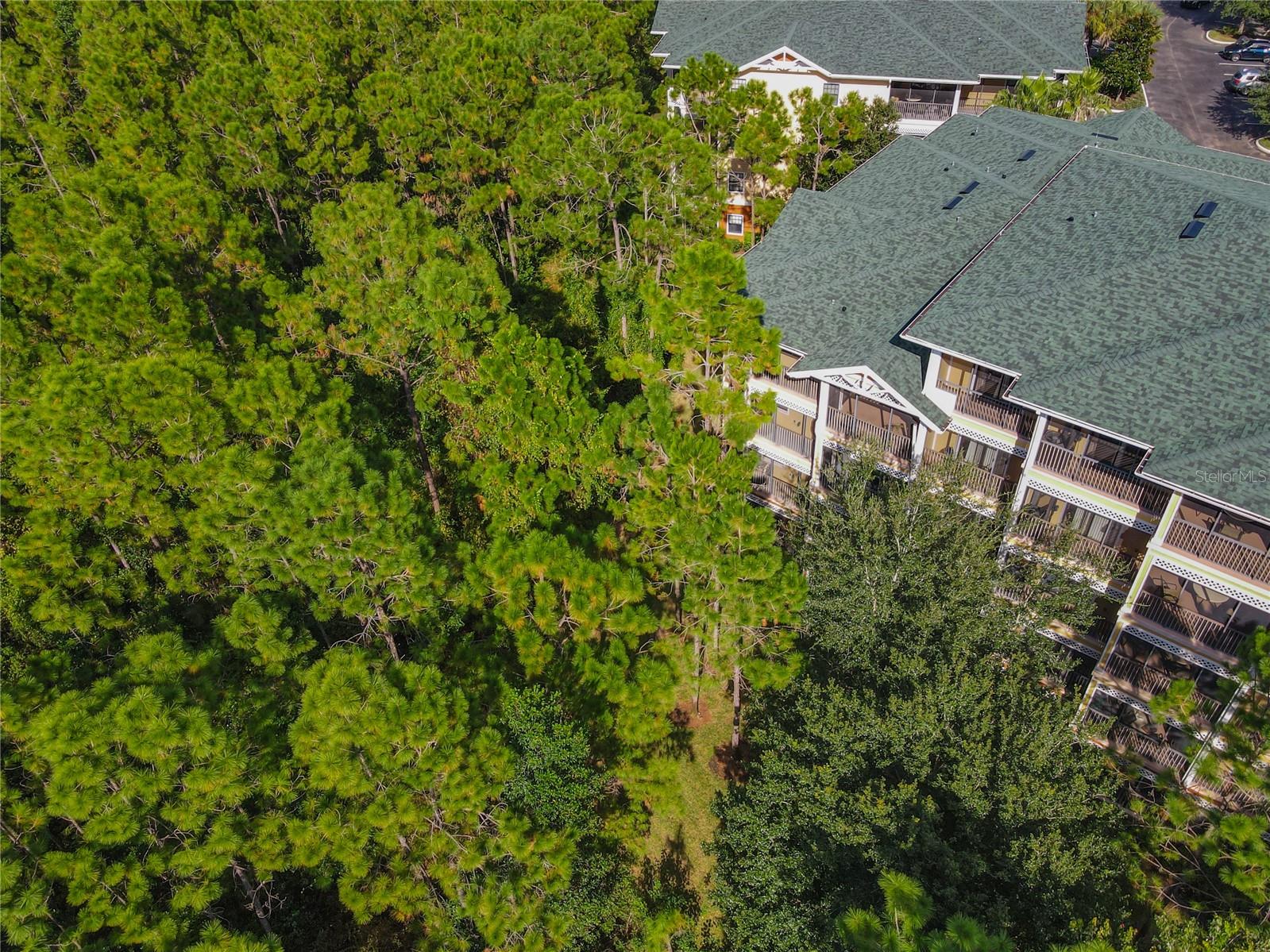 3050 PIRATES RETREAT CT #207, KISSIMMEE, FL, 34747