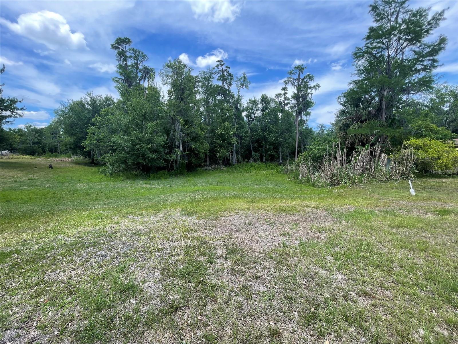 17449 EAGLE LN, LUTZ, FL, 33558
