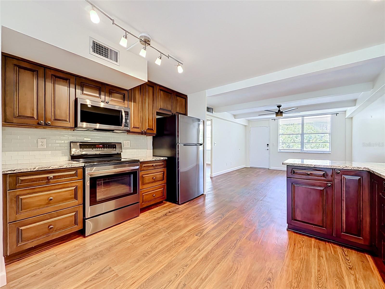 4720 LOCUST ST NE #311, ST PETERSBURG, FL, 33703