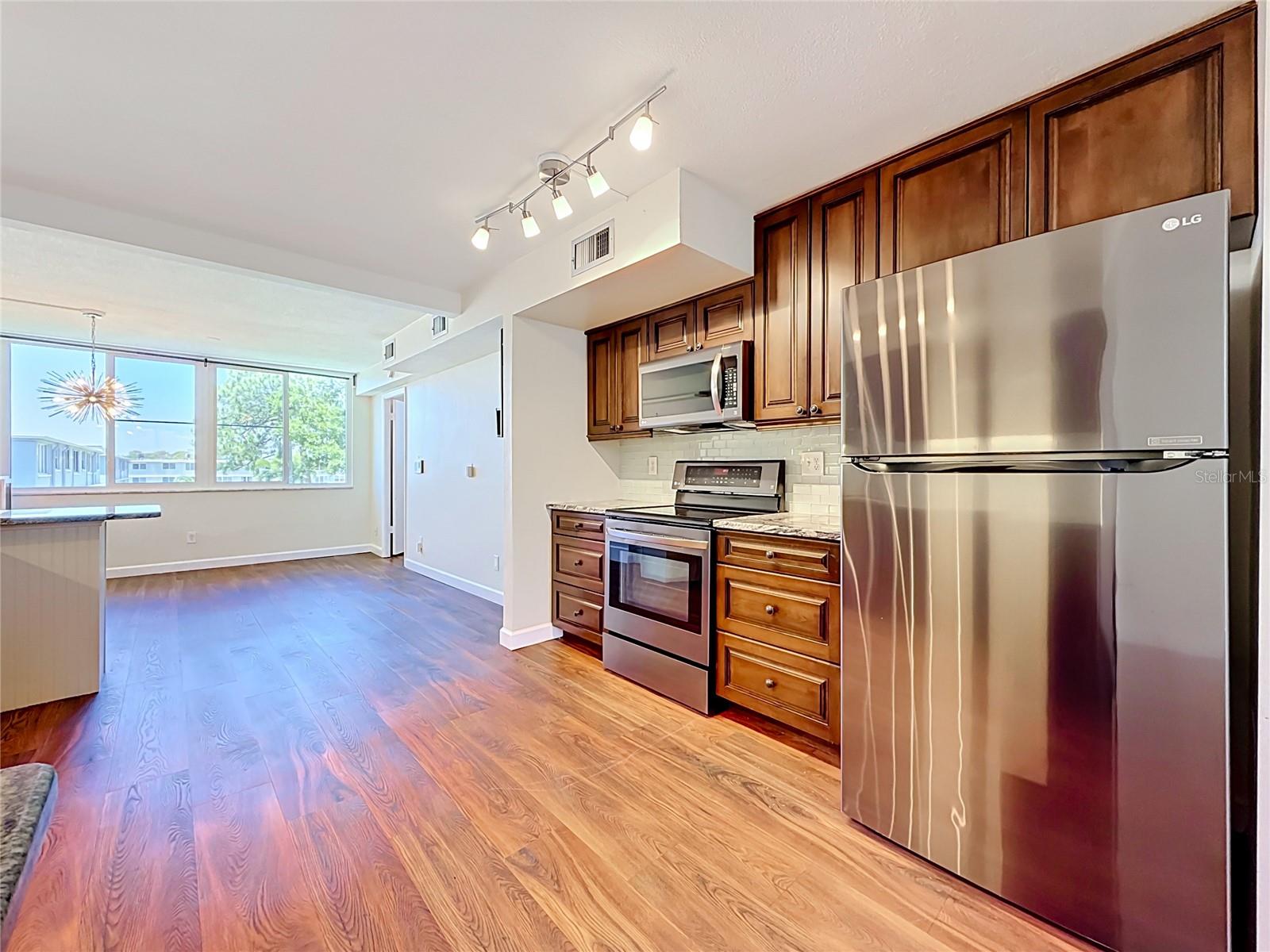 4720 LOCUST ST NE #311, ST PETERSBURG, FL, 33703