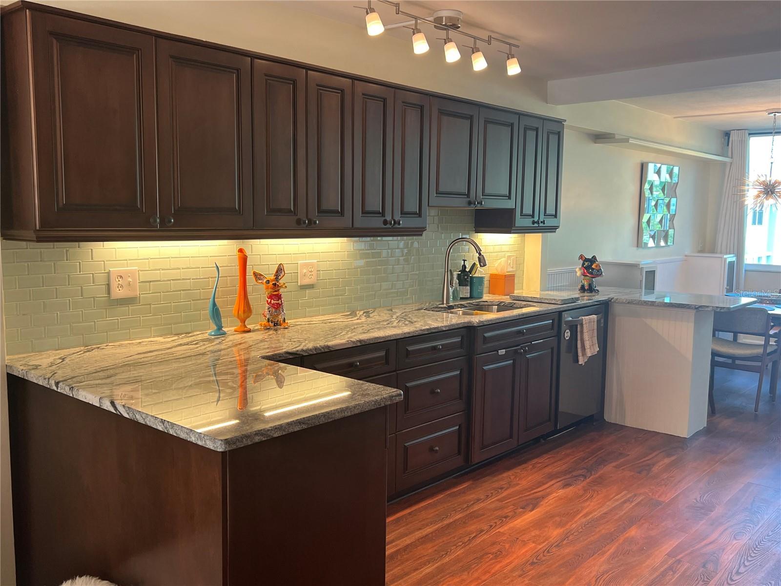 4720 LOCUST ST NE #311, ST PETERSBURG, FL, 33703