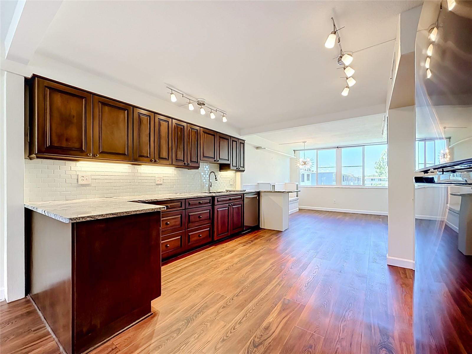 4720 LOCUST ST NE #311, ST PETERSBURG, FL, 33703