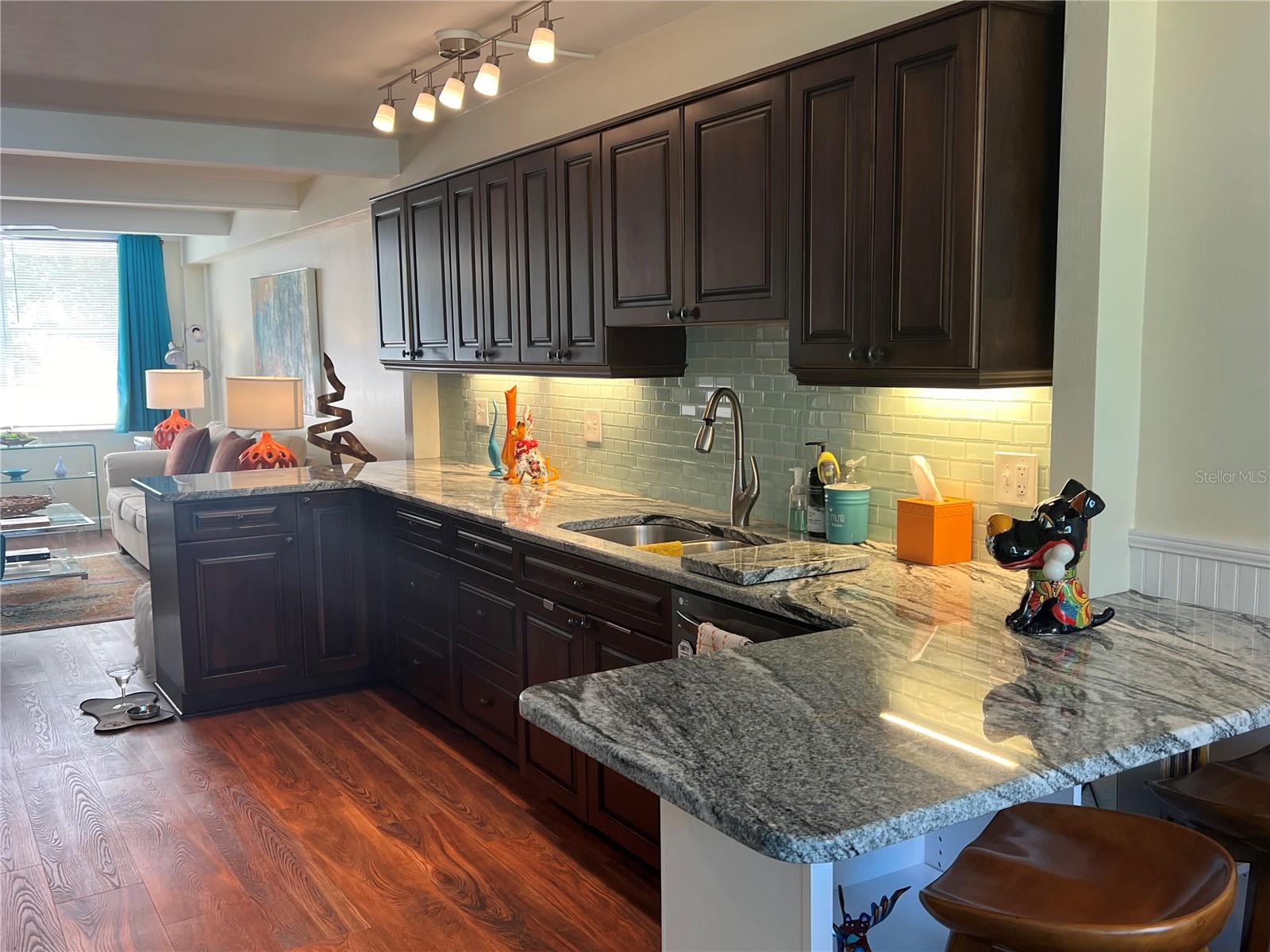 4720 LOCUST ST NE #311, ST PETERSBURG, FL, 33703