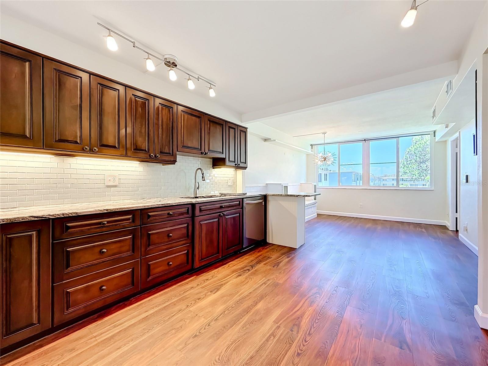 4720 LOCUST ST NE #311, ST PETERSBURG, FL, 33703
