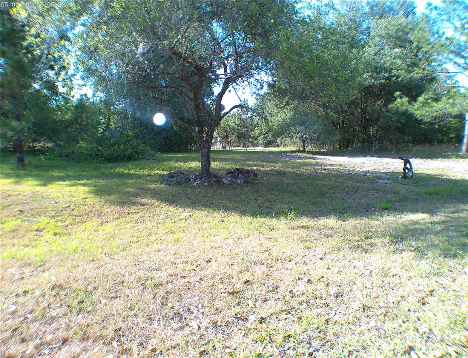 SEQUOIA DRIVE TRCE, OCKLAWAHA, FL, 32179