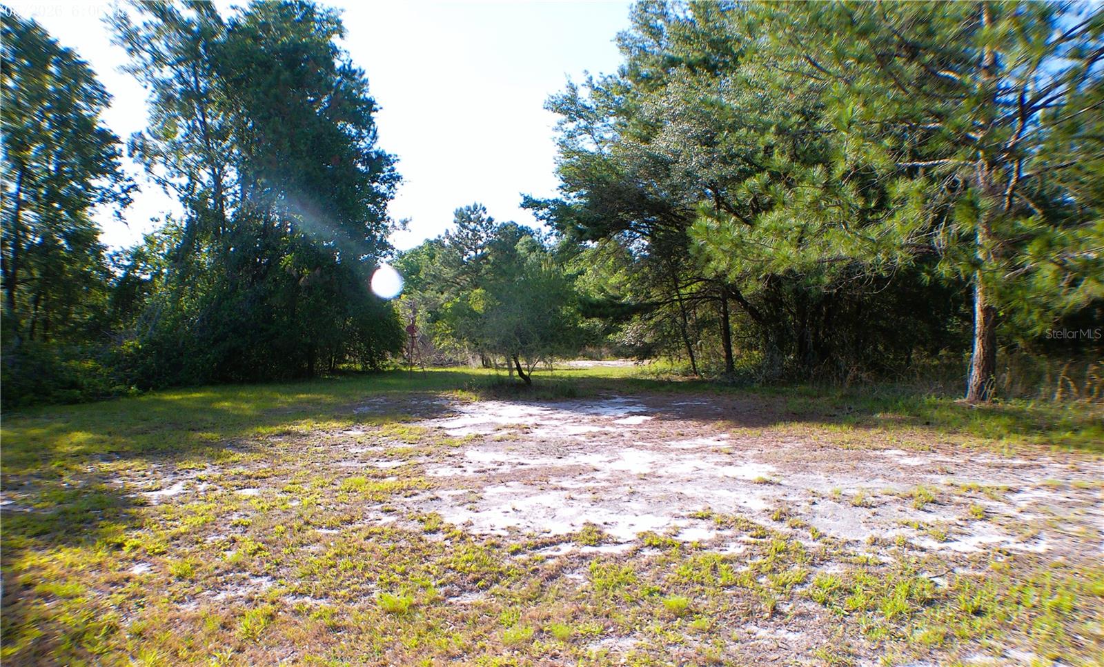 SEQUOIA DRIVE TRCE, OCKLAWAHA, FL, 32179