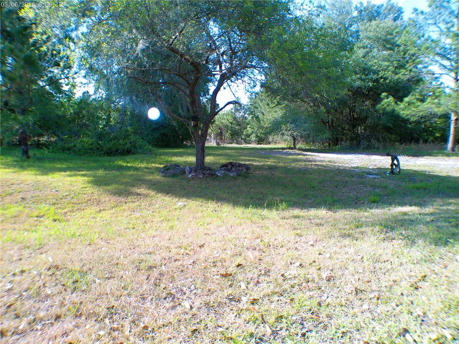 SEQUOIA DRIVE TRCE, OCKLAWAHA, FL, 32179