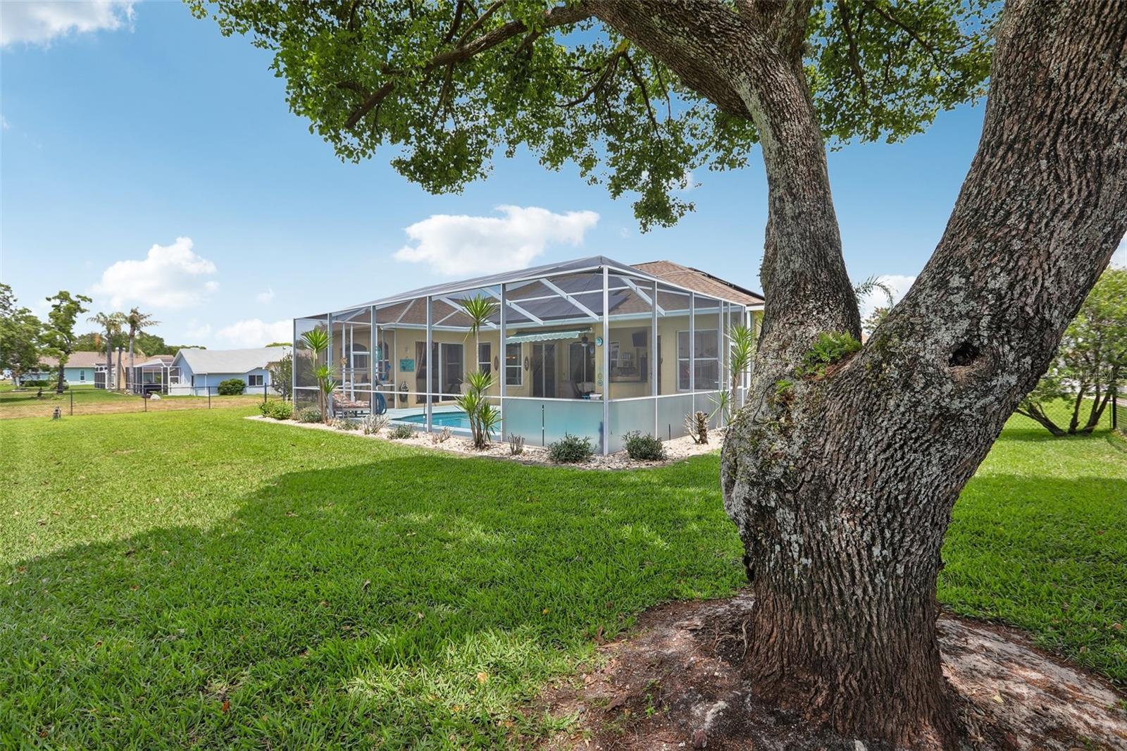 3542 CONIFER LOOP, SPRING HILL, FL, 34609