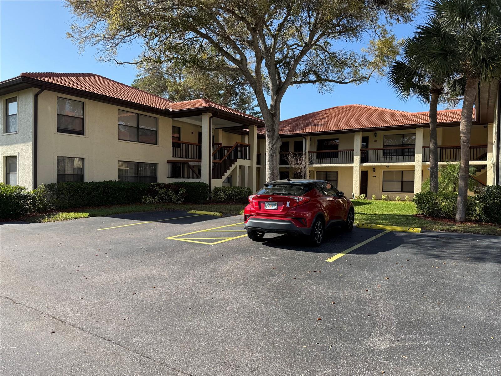 1711 HAMMOCK PINE BLVD #1711, CLEARWATER, FL, 33761