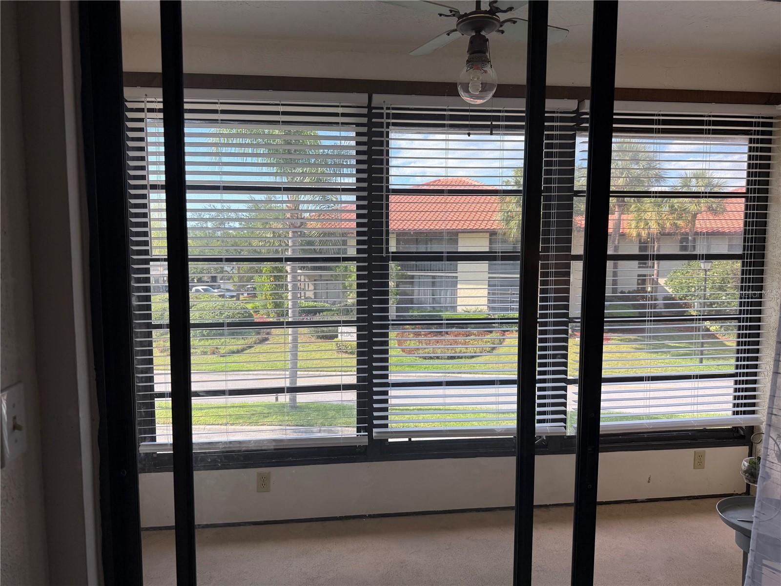 1711 HAMMOCK PINE BLVD #1711, CLEARWATER, FL, 33761