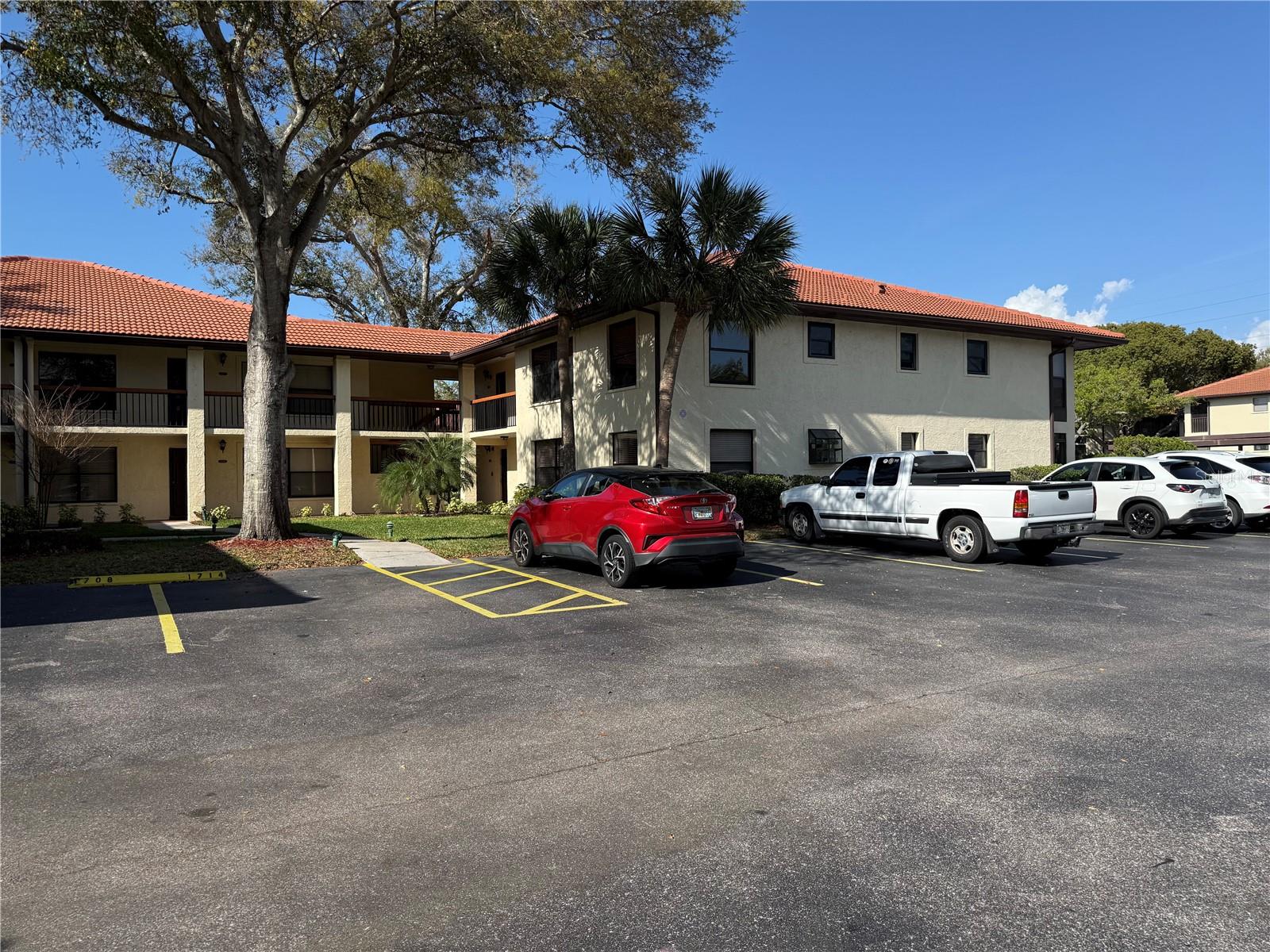 1711 HAMMOCK PINE BLVD #1711, CLEARWATER, FL, 33761