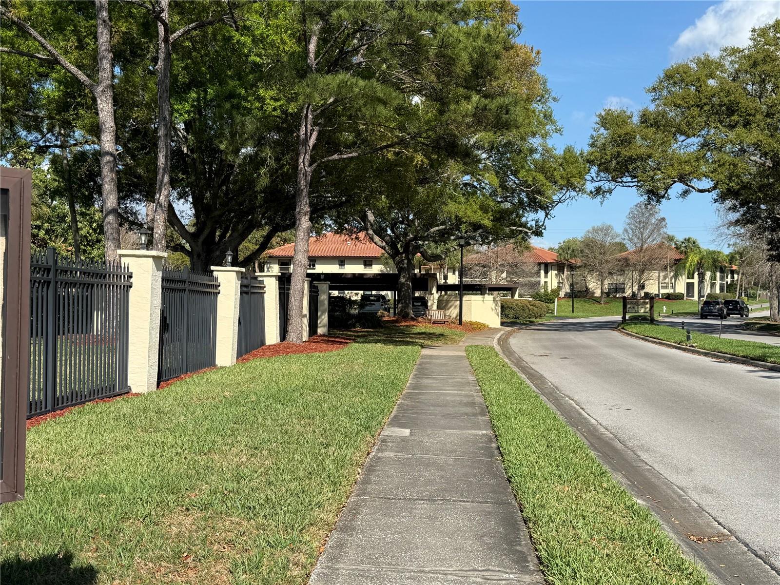 1711 HAMMOCK PINE BLVD #1711, CLEARWATER, FL, 33761