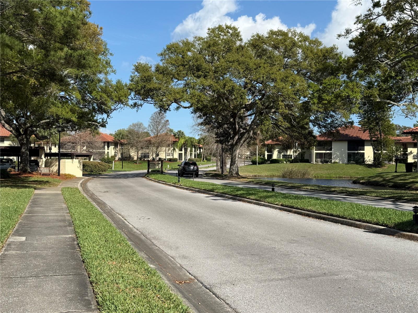 1711 HAMMOCK PINE BLVD #1711, CLEARWATER, FL, 33761