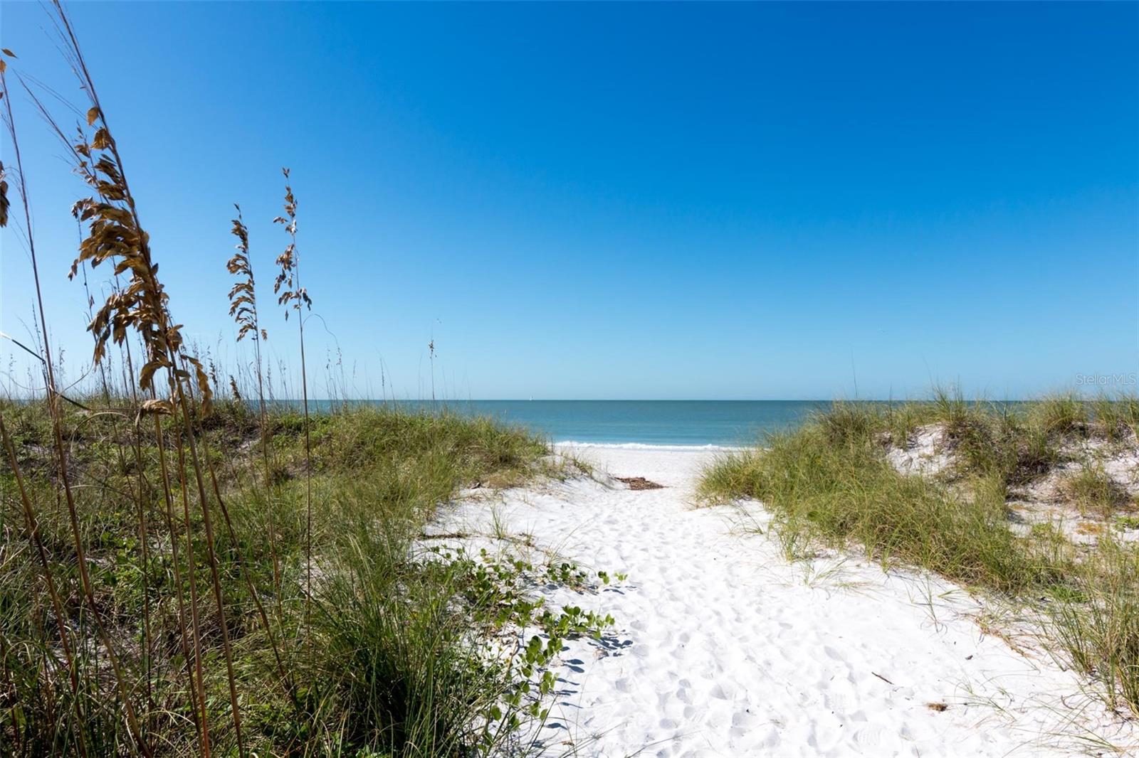 9755 HARRELL AVE #102, TREASURE ISLAND, FL, 33706