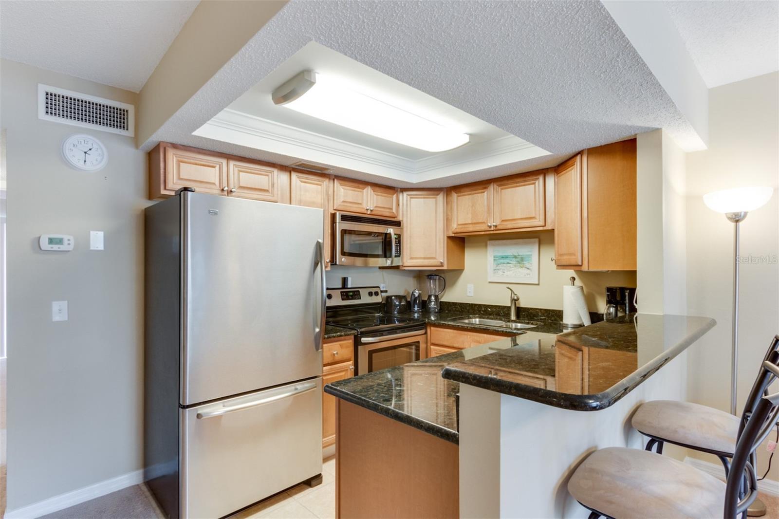 9755 HARRELL AVE #102, TREASURE ISLAND, FL, 33706
