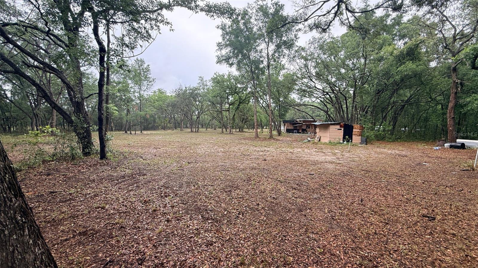 15535 LITTLE RANCH RD #3, SPRING HILL, FL, 34610
