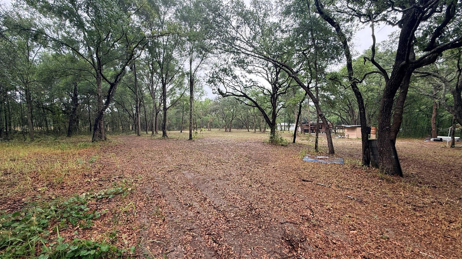 15535 LITTLE RANCH RD #3, SPRING HILL, FL, 34610