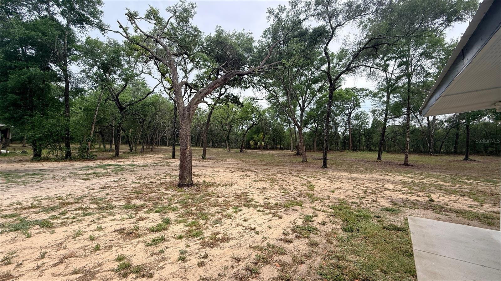 15535 LITTLE RANCH RD #3, SPRING HILL, FL, 34610