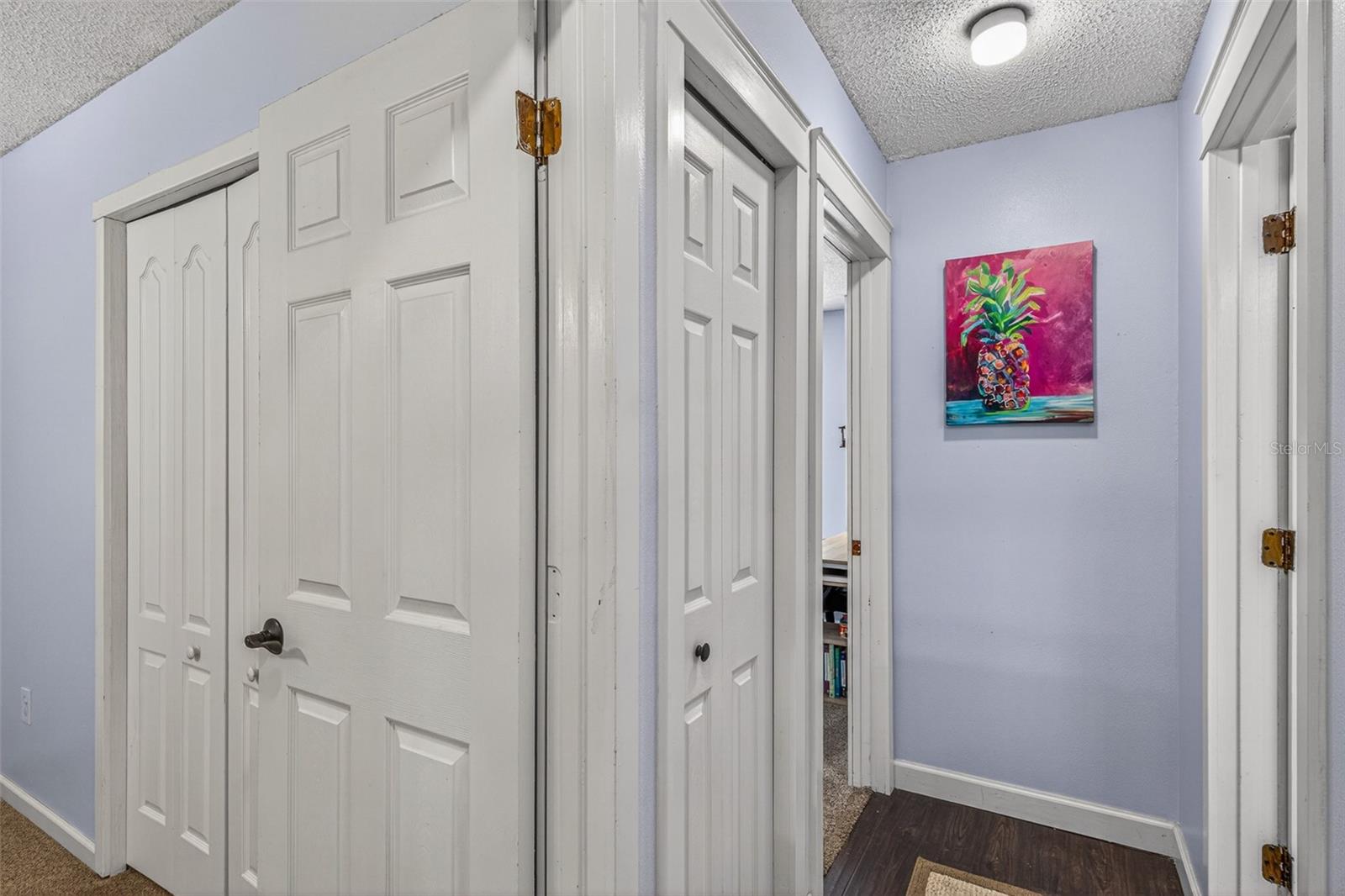1767 IROQUOIS DR, APOPKA, FL, 32703