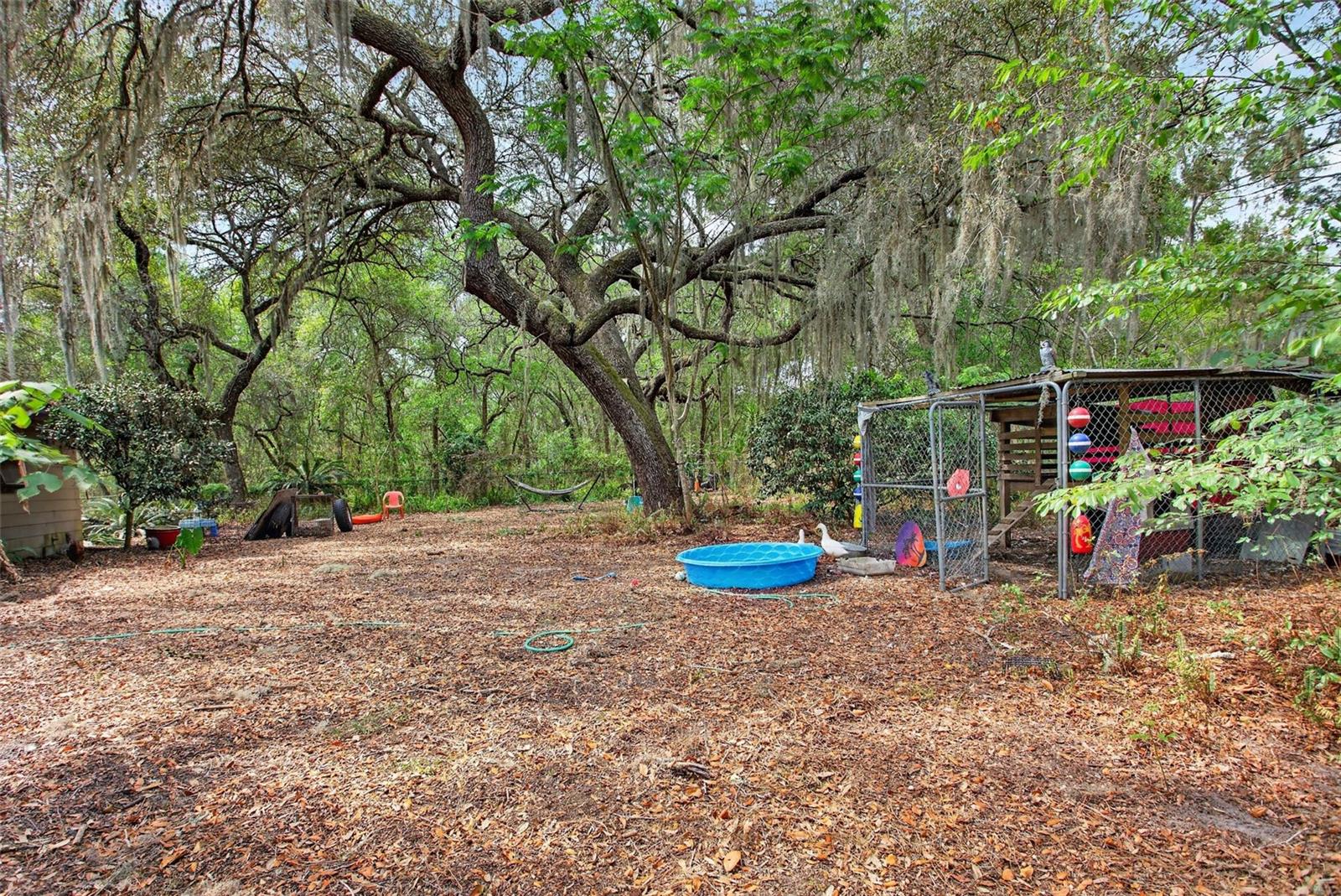 6685 WOODLAND DR, KEYSTONE HEIGHTS, FL, 32656